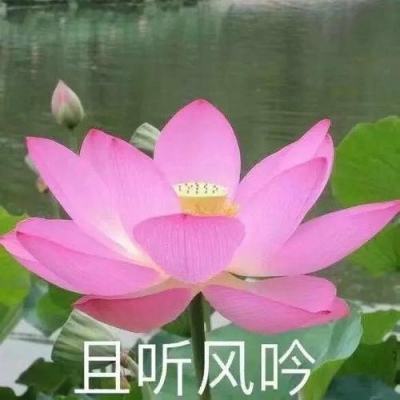 四川省副省长郑备调任国家发改委副主任